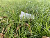 afgedankte plastic beker in het gras