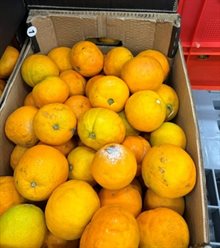 Fruitverspilling 1