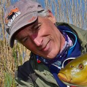 onno-terlouw-560x560