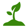 PNG_jonge-plant-komt-uit-grond_Groen[1]