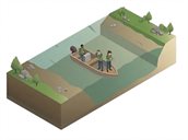Infographic over de oeverschouw